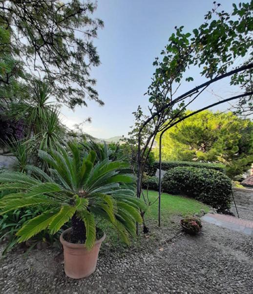Casa Gazzano Villa Imperia Eksteriør billede