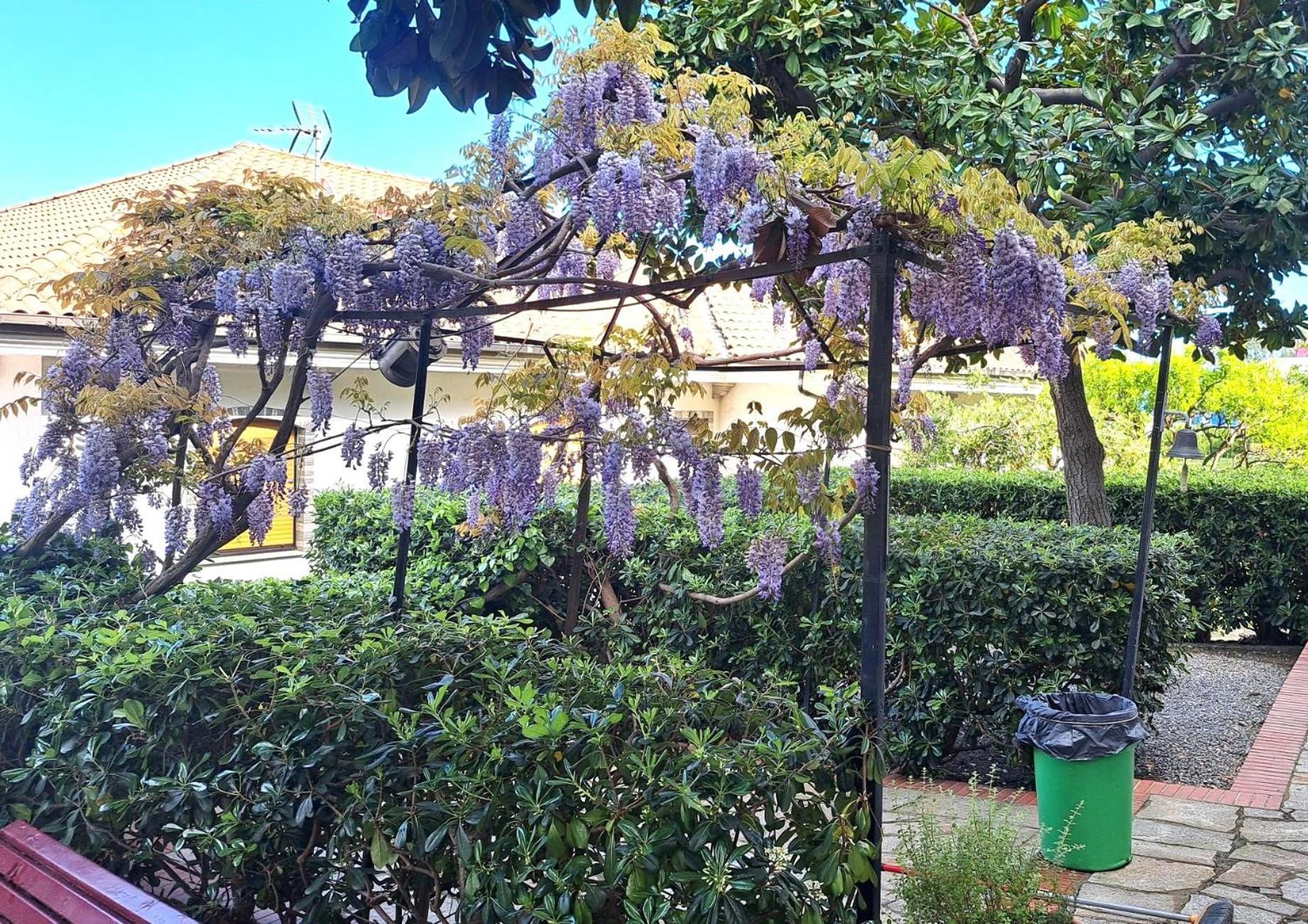 Casa Gazzano Villa Imperia Eksteriør billede